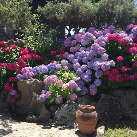 Casa Ortensia Baja Sardinia