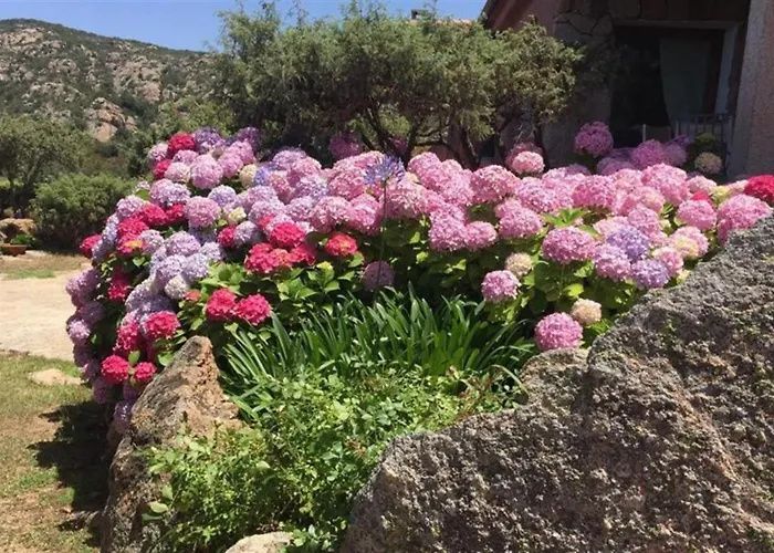 Casa Ortensia Apartament Baja Sardinia